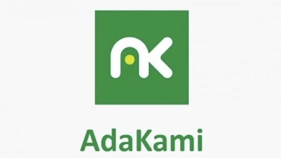 Bos AdaKami: Jejak Kinerja di Luar Fintech dalam Upaya Menarik Investasi Global